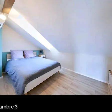 Loft Neuf Avec Bain Jacuzzi Et Terrasse コルマール