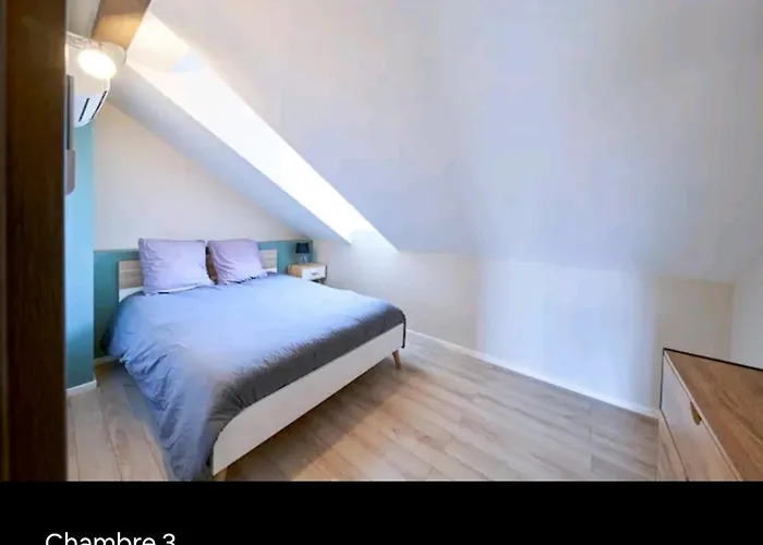 Loft Neuf Avec Bain Jacuzzi Et Terrasse コルマール